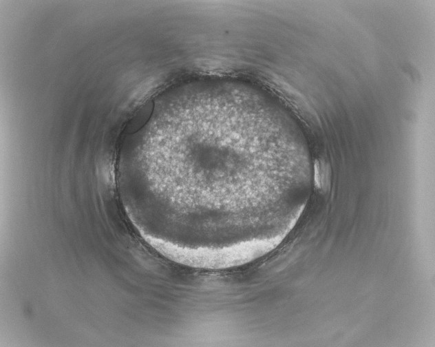 X0000115251155200911271859