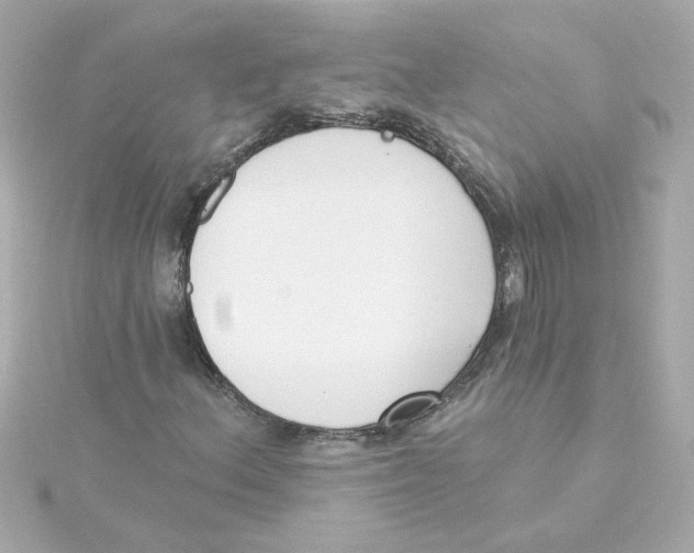 X0000115251156200911271859