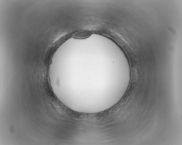 X0000115251158200911271858