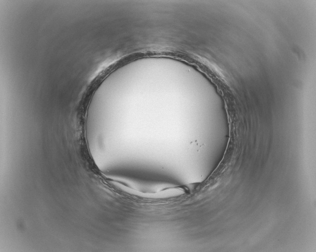 X0000115251160200911271858