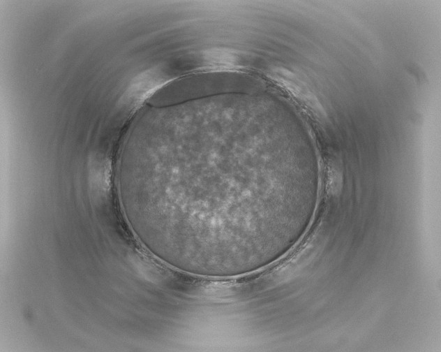 X0000115251161200911271858