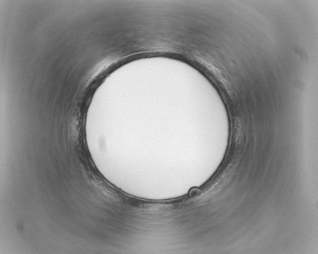 X0000115251163200911271858