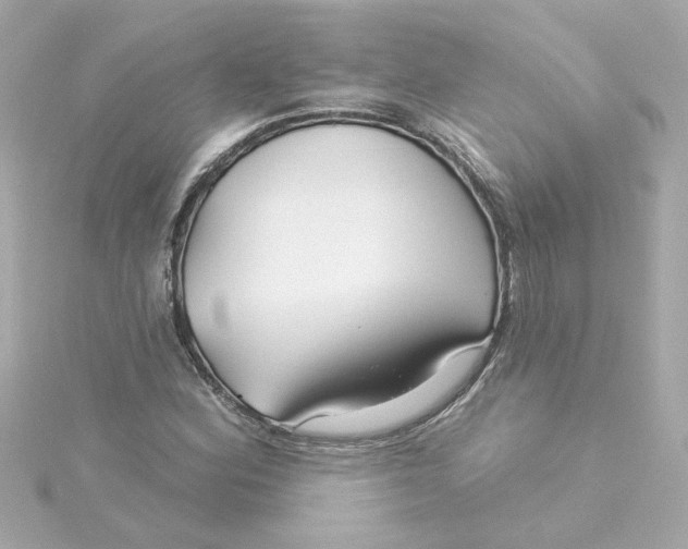 X0000115251164200911271858