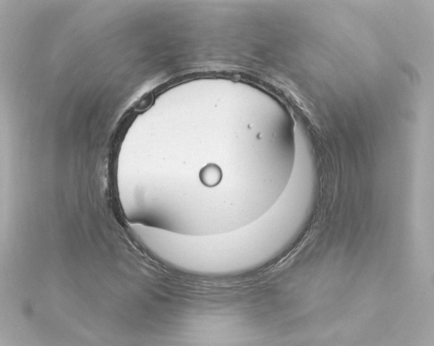 X0000115251165200911271858