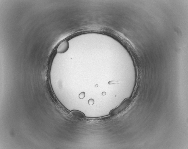 X0000115251166200911271858