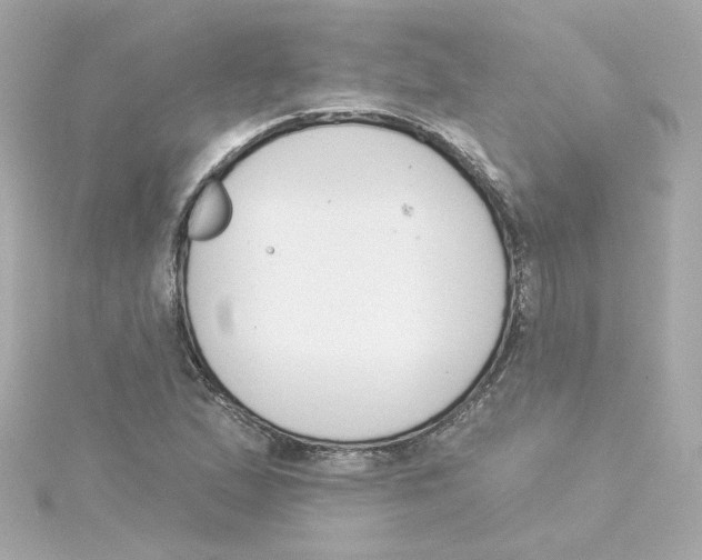 X0000115251167200911271858