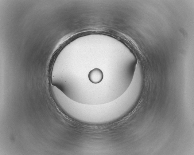 X0000115251168200911271858