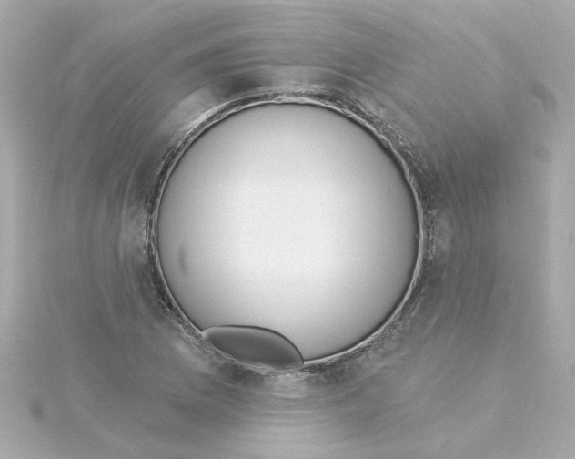 X0000115251169200911271858