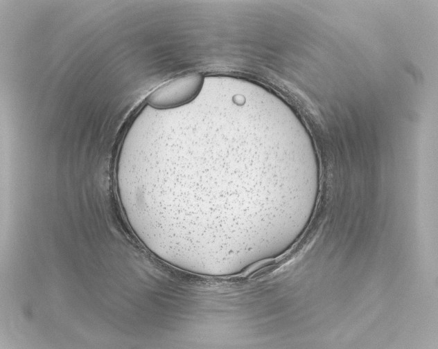 X0000115251170200911271858