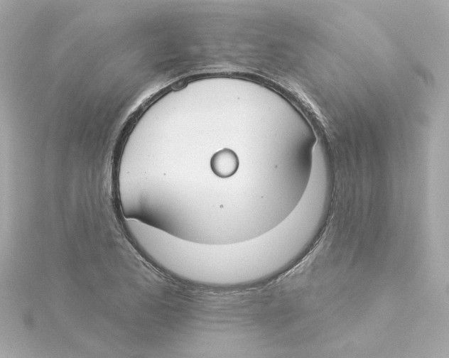 X0000115251173200911271858