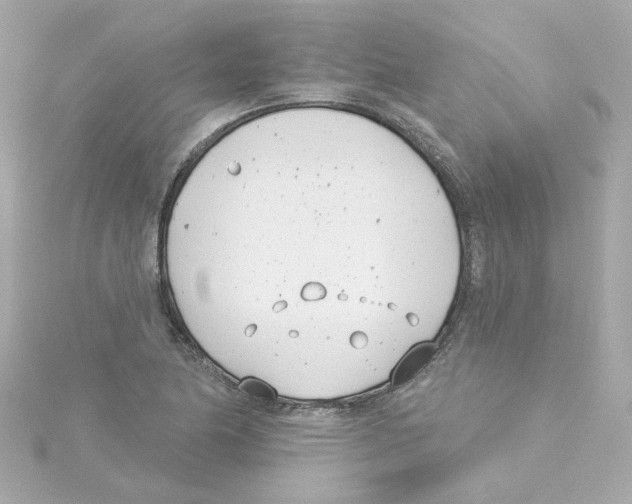 X0000115251174200911271858