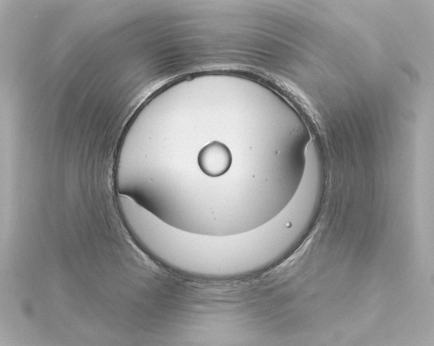 X0000115251177200911271858