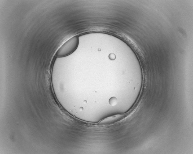 X0000115251178200911271858