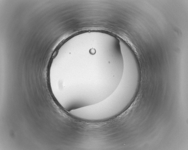 X0000115251181200911271858