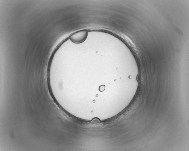 X0000115251183200911271858