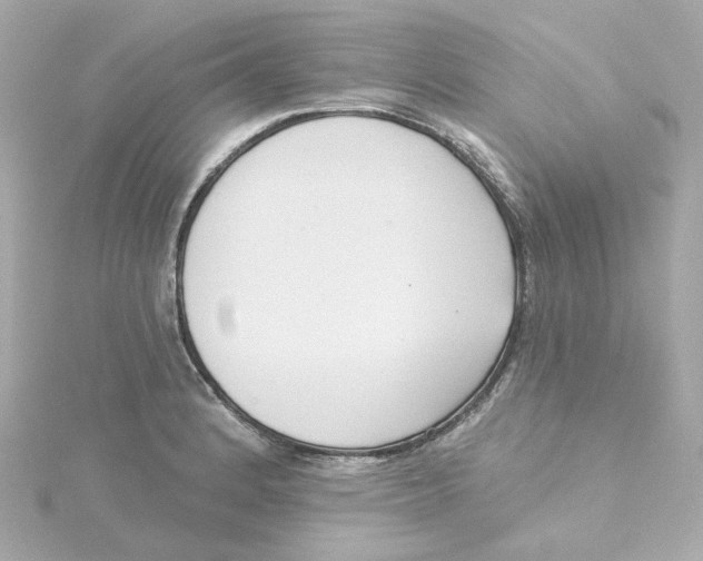 X0000115251184200911271858