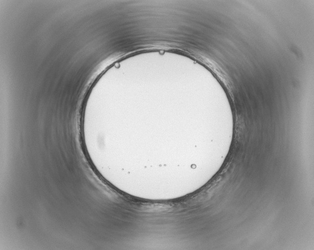 X0000115251187200911271858