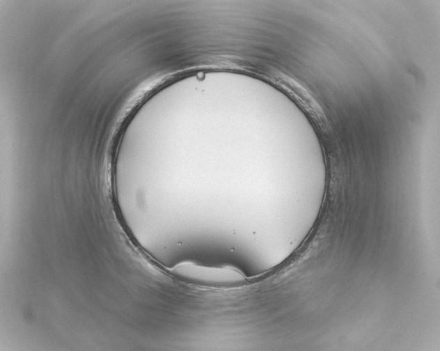 X0000115251188200911271858