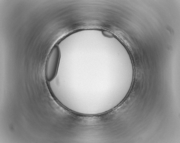 X0000115251189200911271858