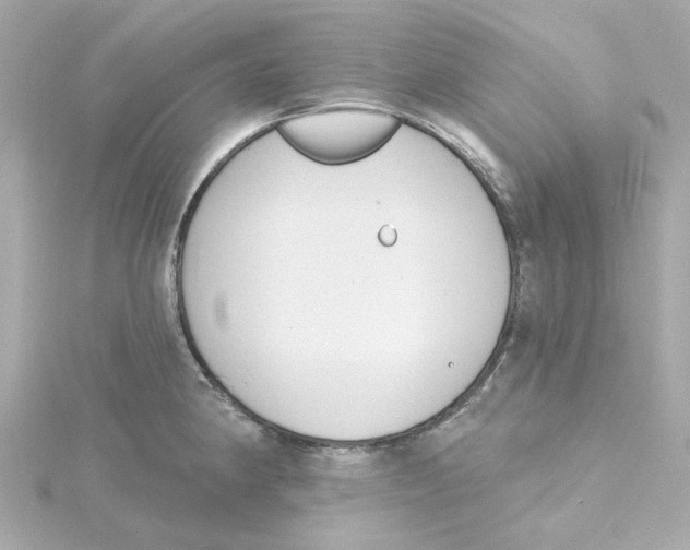 X0000115251190200911271858