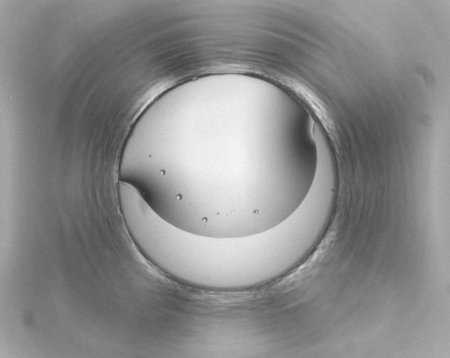 X0000115251193200911271858