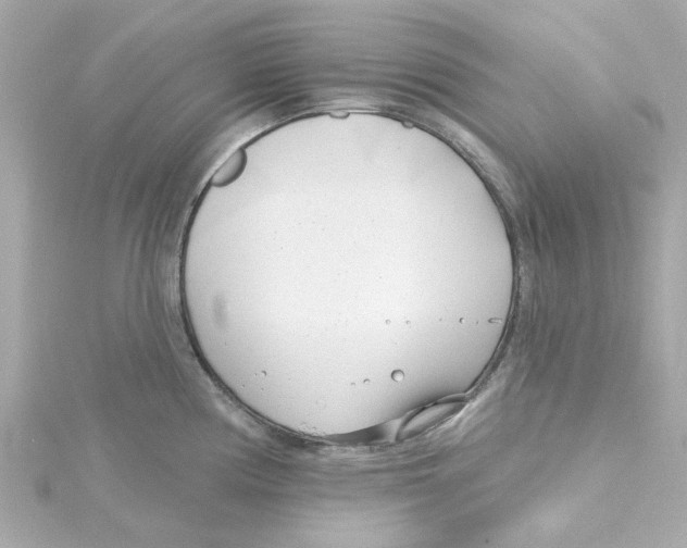 X0000115251194200911271858