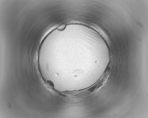 X0000115251198200911271858