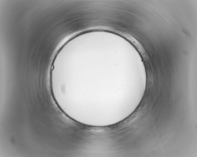 X0000115251199200911271858