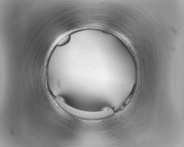 X0000115251200200911271858