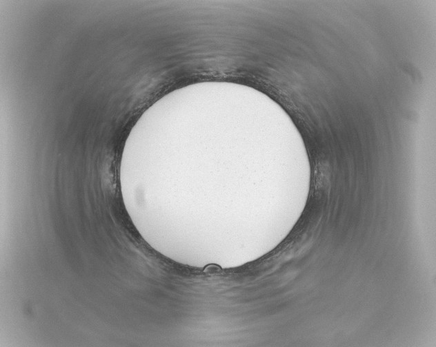 X0000115251202200911271857