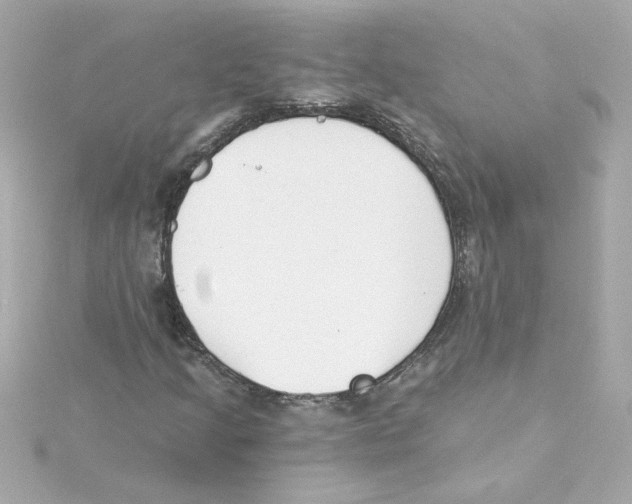 X0000115251205200911271857