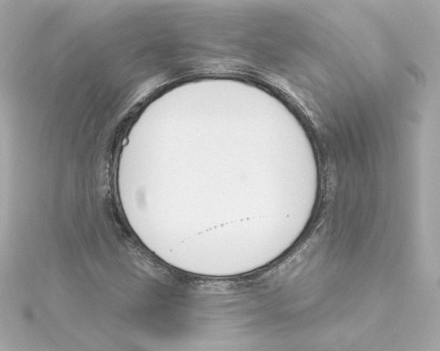 X0000115251211200911271857