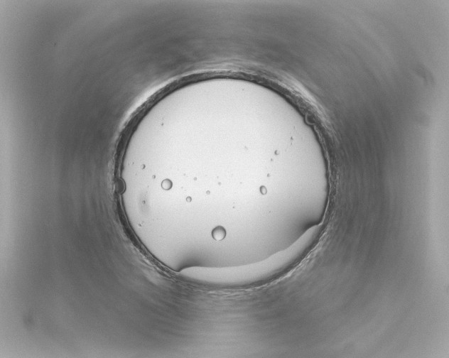 X0000115251216200911271857