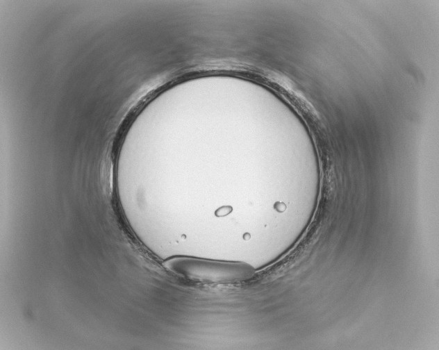 X0000115251221200911271857