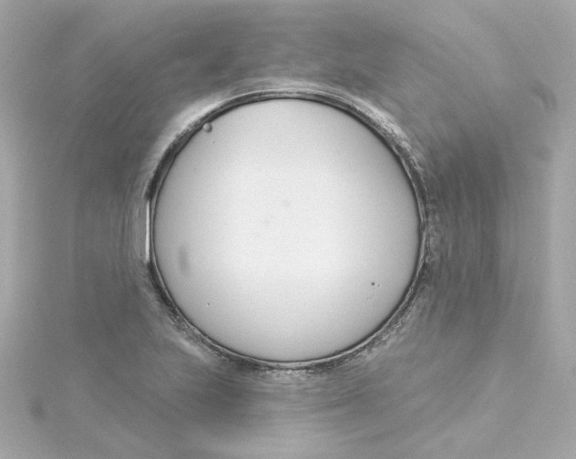 X0000115251223200911271857