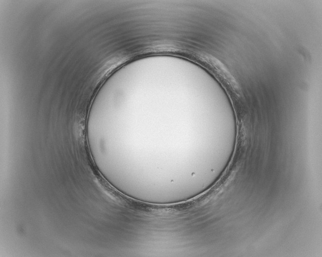 X0000115251225200911271857