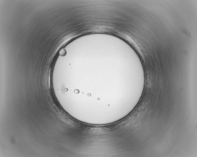 X0000115251227200911271857