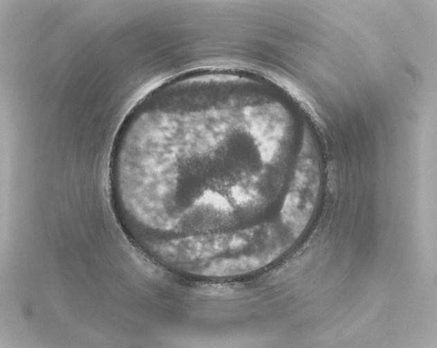 X0000115251229200911271858