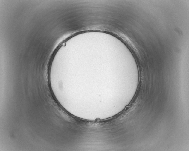 X0000115251230200911271858