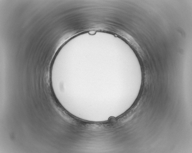 X0000115251234200911271858