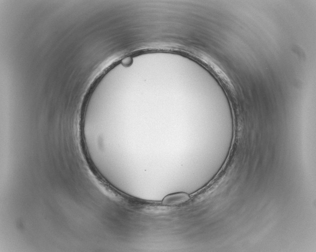 X0000115251237200911271858