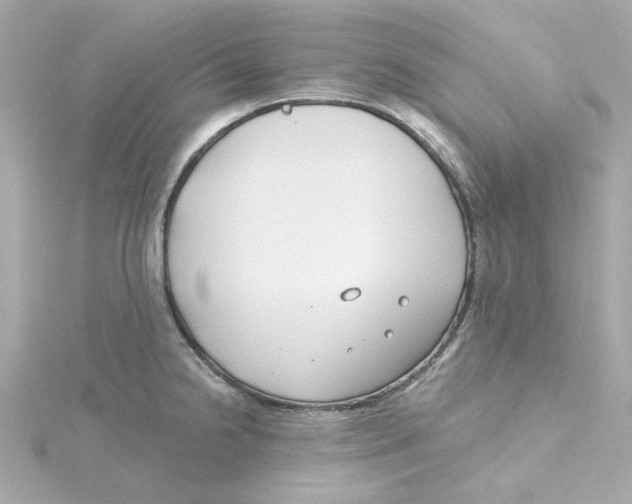 X0000115251238200911271858