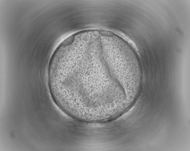 X0000115251239200911271858