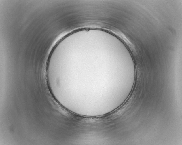 X0000115251240200911271858