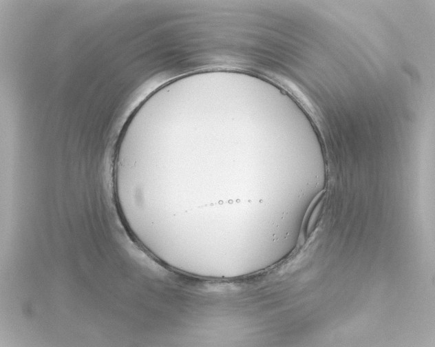 X0000115251243200911271858