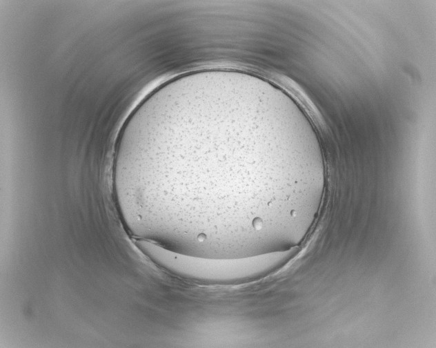 X0000115251244200911271858