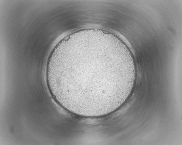 X0000115251245200911271858