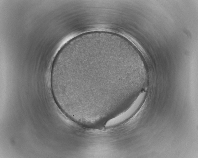 X0000115251246200911271858