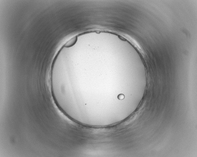 X0000115251247200911271858