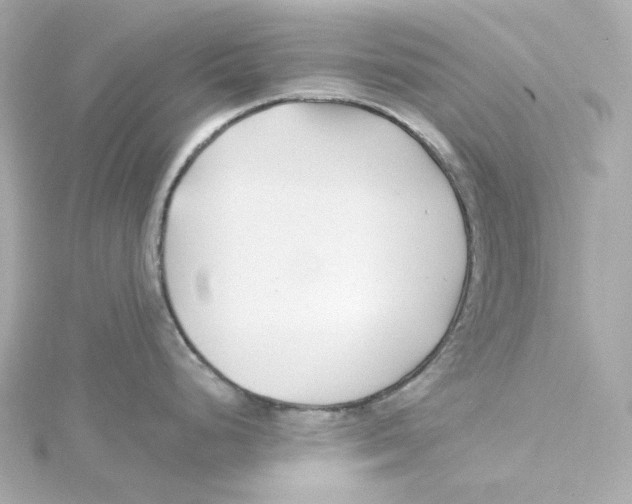 X0000115251248200911271858